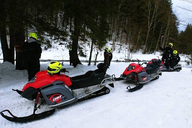 Snowmobiles, Sky Lift & Winter Sports - Private Tour - Who will enjoy this day most