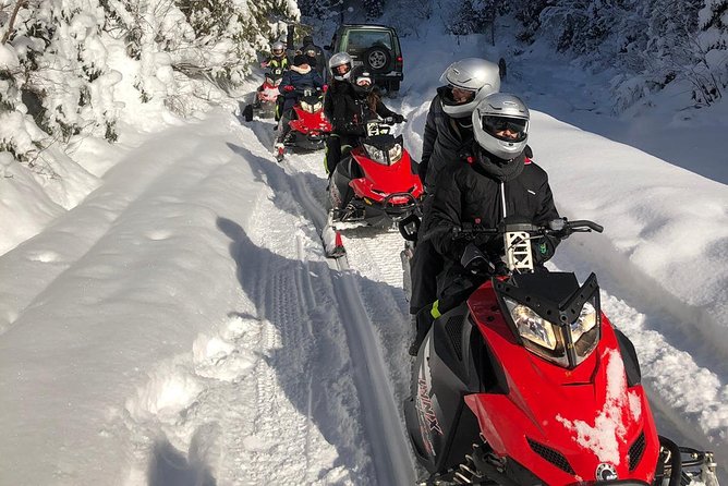 SnowMobiles Tour in Carpathian Mountains - From Bucharest to the Carpathian Mountains
