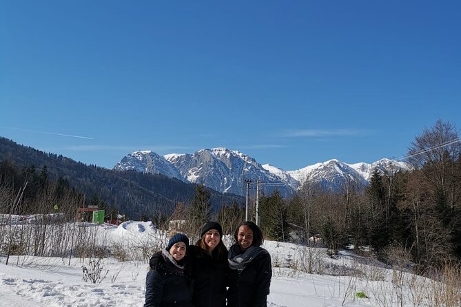 SnowMobiles Tour in Carpathian Mountains - One hour on a shared snowmobile