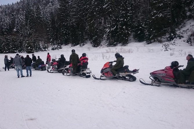 SnowMobiles Tour in Carpathian Mountains - Who will enjoy this day most