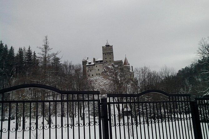 The Castles from the Carpathian Mountains! The Fixers Private Tour - The guide can make or break the experience