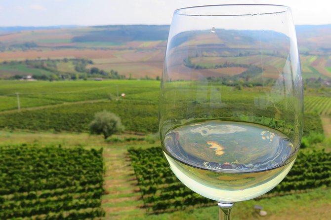 The wine route by bike - Key points to know before you book