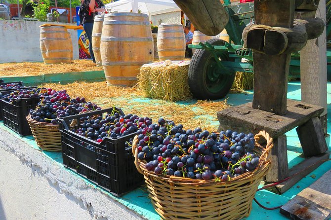The wine route by bike - Why this bike ride works so well outside Bucharest