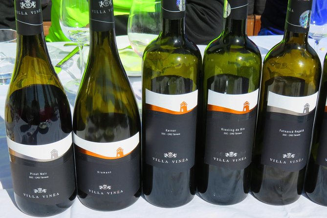 The wine route by bike - Two kilometers to Crama Serve Ceptura
