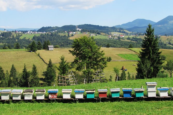 The wine route by bike - What the $114.39 price includes