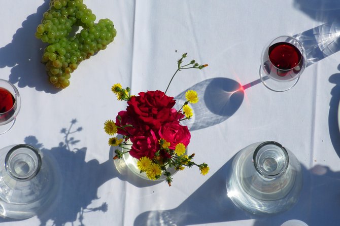 The wine route by bike - Starting from Bucharest or the airport