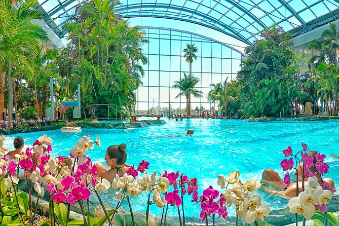 Therme Bucharest Tickets and Water Theme Park - Palm: 800,000 plants around warm water