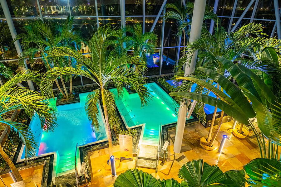Therme:Spa Day at the biggest oasis of Relaxation《Bucharest》 - Four and a half hours among palms and orchids