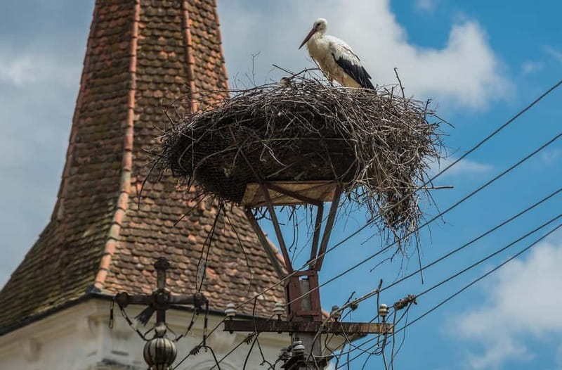 Tour of Sibiu - Church in Cristian - Village of Sibiel - Comfort, walking, and group arrangements