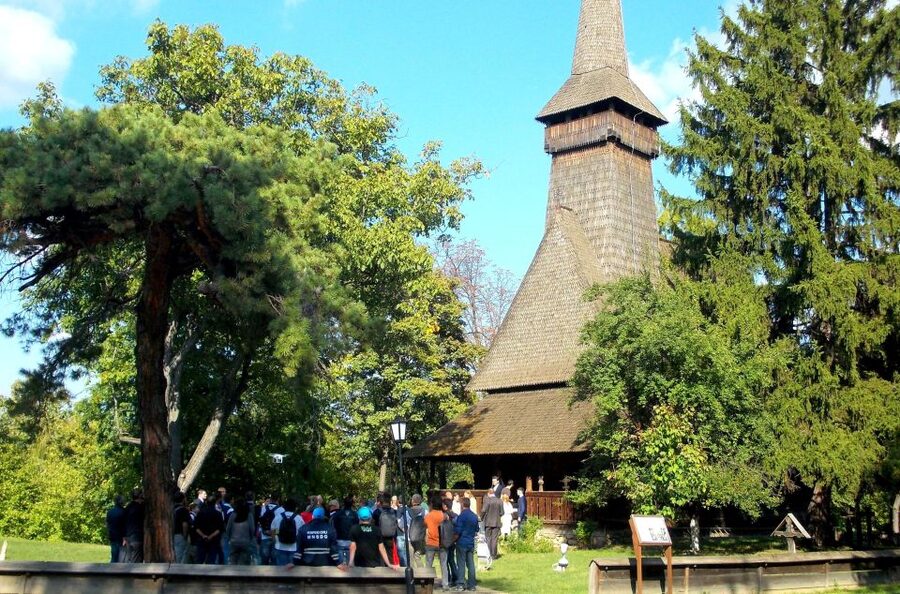 Traditions in Bucharest: Village Museum and Wine Tasting - Who will enjoy this Bucharest experience?