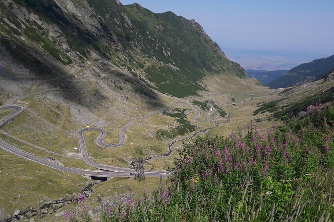 Transfagarasan Highway Balea Lake and Carta Monastery from Brasov - Carta Monastery, a quiet change of pace