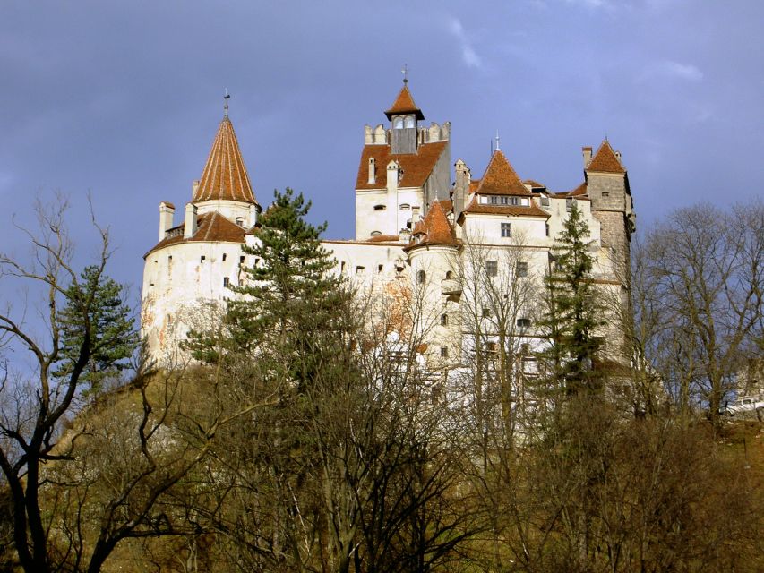 Transylvania: Cultural Full-Day Trip by Minivan - What the guide adds to a long driving day