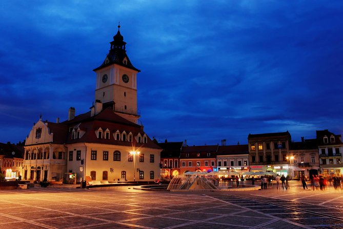 Transylvania with Dracula Castle, Bear Sanctuary and Brasov - Libearty Bear Sanctuary: the strongest stop