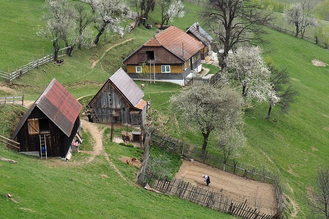 Village life in Transylvanian Carpathian mountains - 8 days - Key points to know before booking