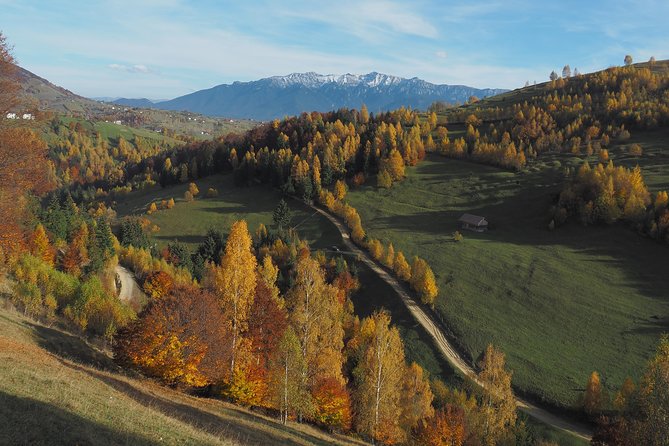Village life in Transylvanian Carpathian mountains - 8 days - Day 3: Zarnesti Gorge and Curmatura Hut