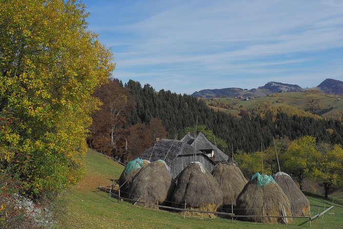 Village life in Transylvanian Carpathian mountains - 8 days - Day 4: A chain of villages from Magura to Fundata