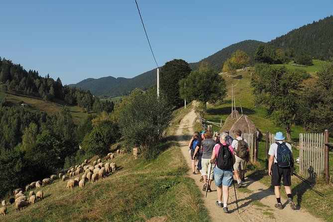 Village life in Transylvanian Carpathian mountains - 8 days - Day 7: Seven Ladders Canyon and a final Brasov evening