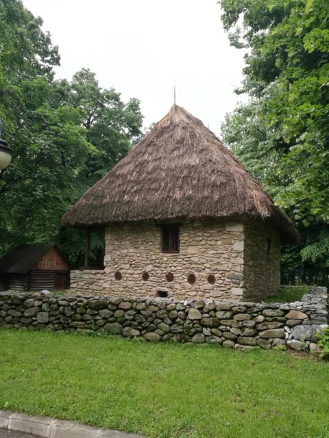 Village Museum Bucharest Guided Tour - What the guide adds to a short city tour