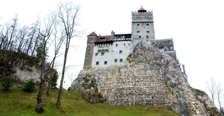 Visit Bear Sanctuary and Bran Castle from Brasov - Key points to know before booking