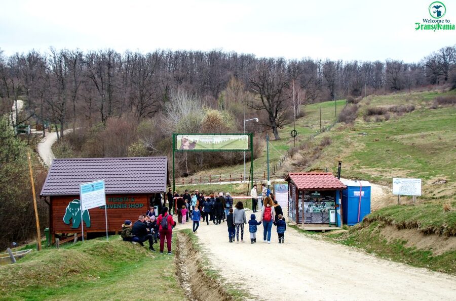 Visit Bear Sanctuary and Bran Castle from Brasov - Why this Brașov tour works so well