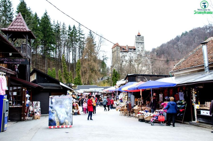 Visit Bear Sanctuary and Bran Castle from Brasov - LiBEARty Sanctuary: the strongest stop of the day