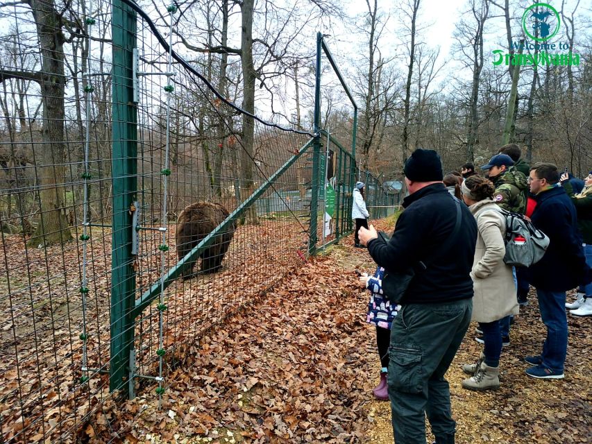 Visit Bear Sanctuary and Bran Castle from Brasov - From rescued bears to Bran Castle