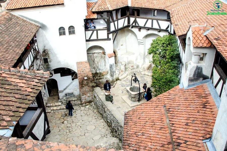 Visit Bear Sanctuary and Bran Castle from Brasov - Starting in central Brașov